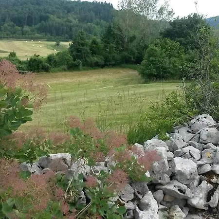 Homestead Vrbin Farm stay Divaca