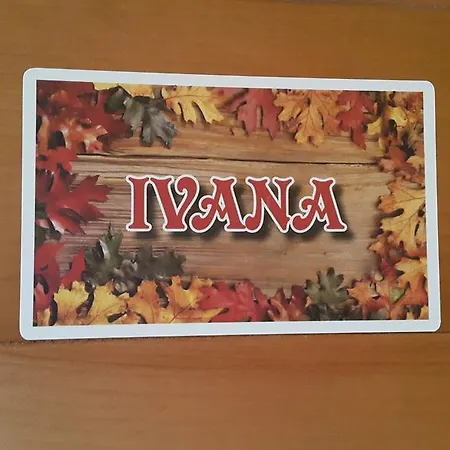 Homestead Vrbin 农家乐 迪瓦卡