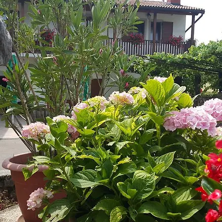 Alloggio per agriturismo Homestead Vrbin *